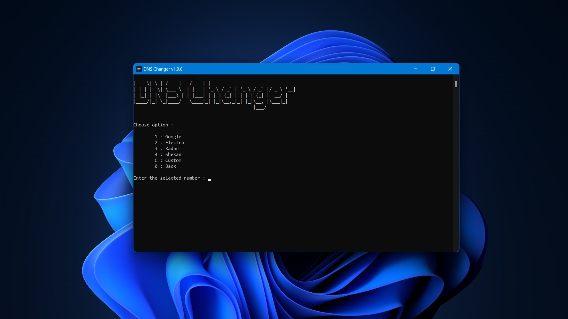 cli-dns-server